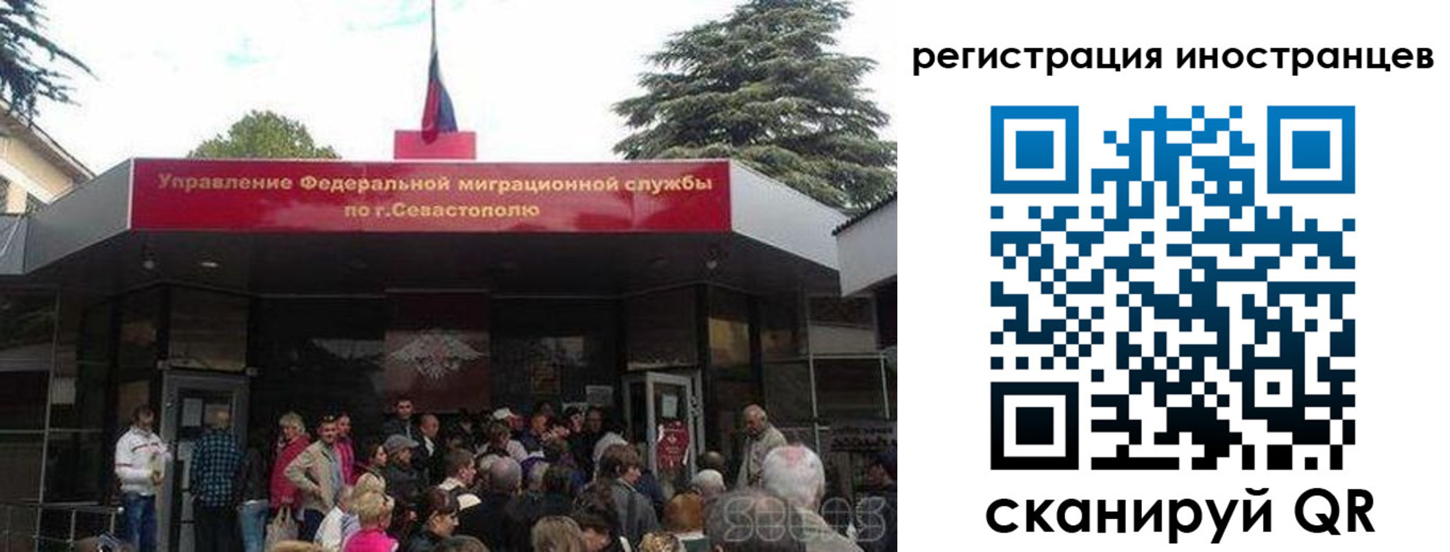 прописка в Лесном